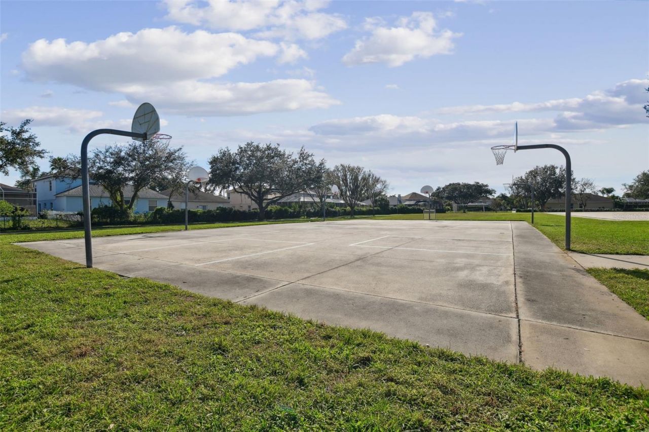 2006 Meadow Rue Court, Trinity, FL 34655 Photo
