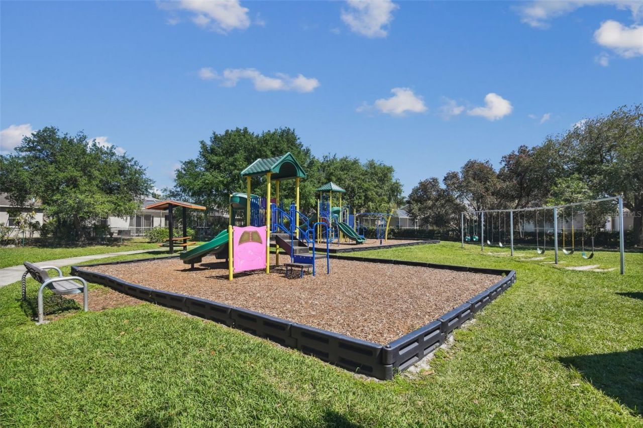 2006 Meadow Rue Court, Trinity, FL 34655 Photo