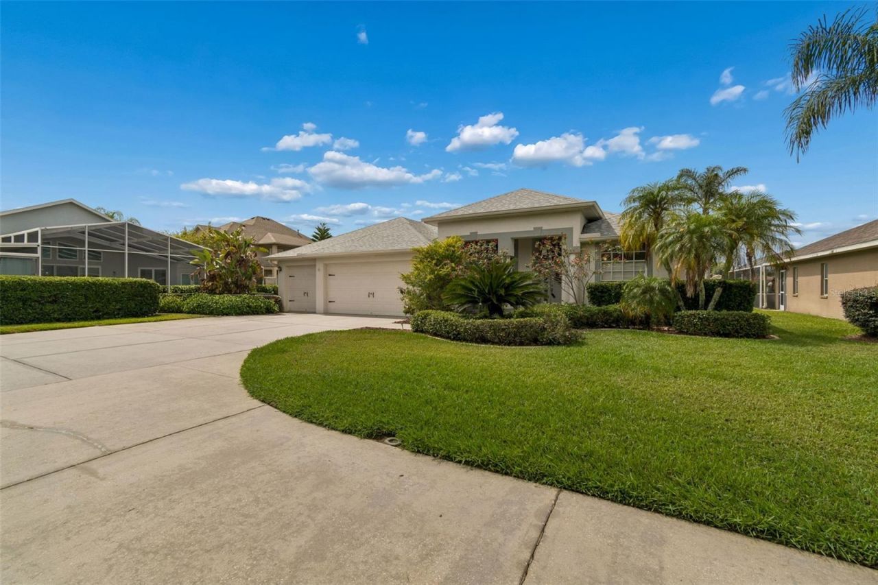 2006 Meadow Rue Court, Trinity, FL 34655 Photo