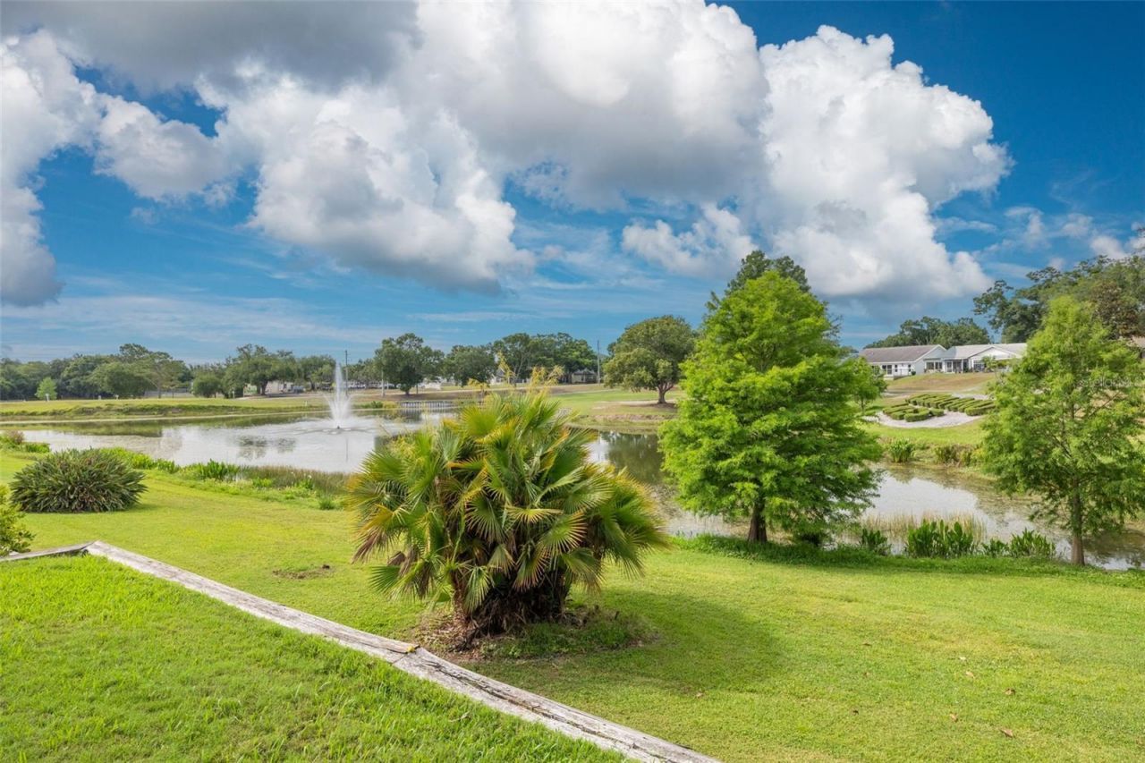 1478 Wicklow Drive, Palm Harbor, FL 34684 Photo