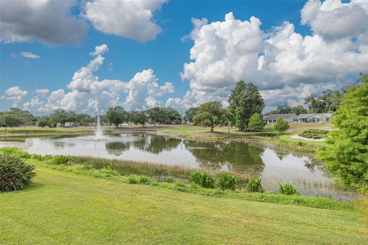1478 Wicklow Drive, Palm Harbor, FL 34684 Photo