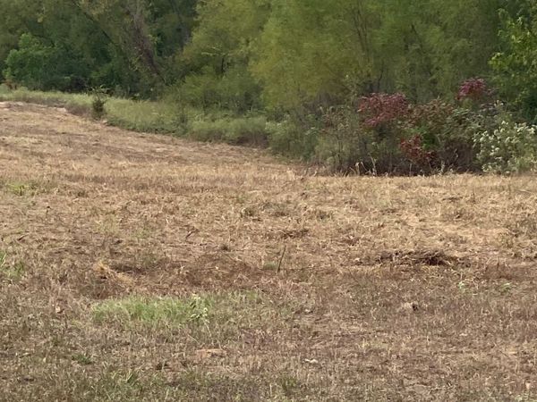 W Davis Creek Road , Caney, OK 74533
