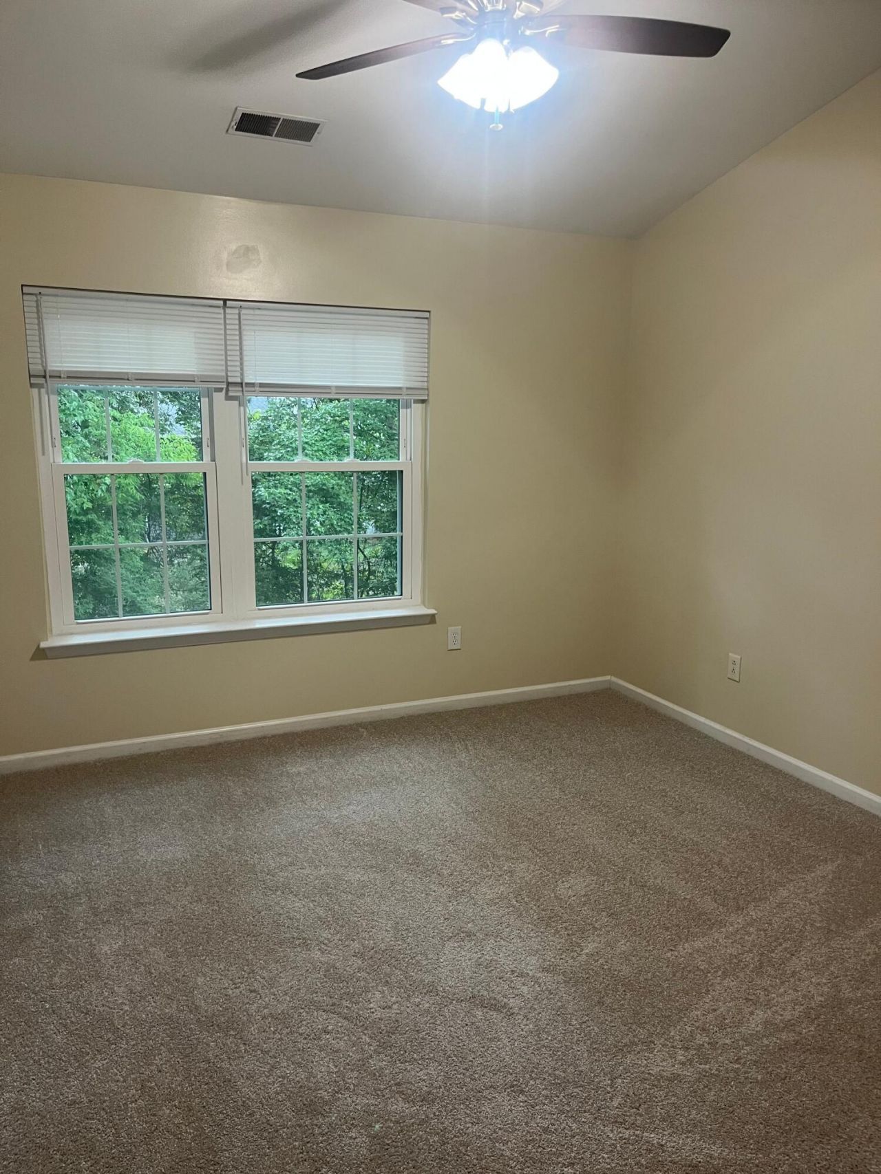 7940 Shadow Oak Drive Photo 10