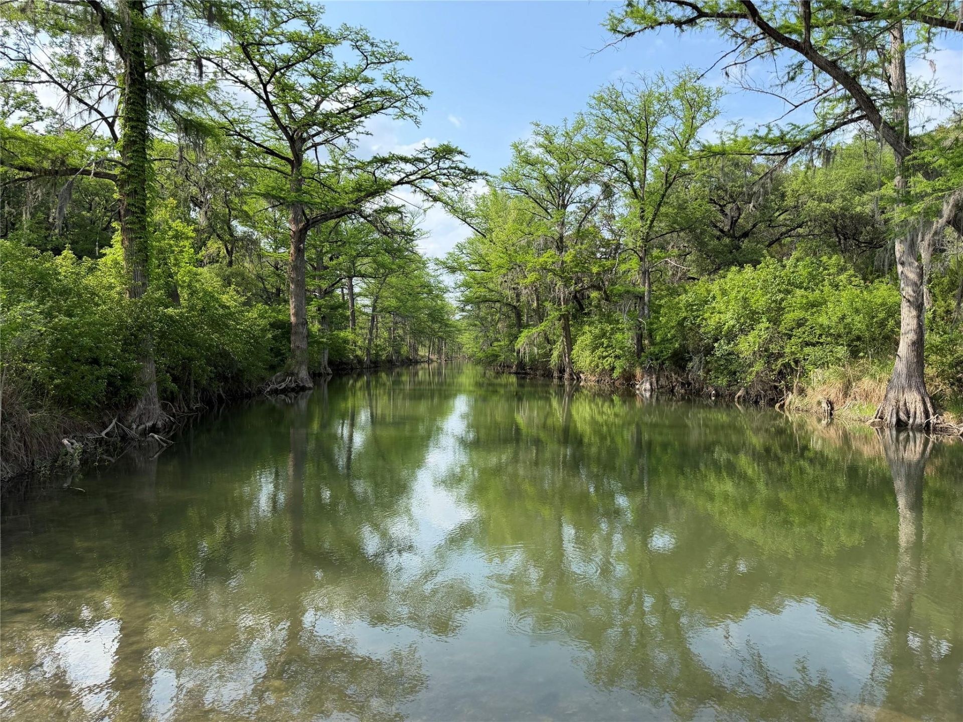 8219 Hammetts Crossing Xing , Round Mountain, TX 78663 Main Photo