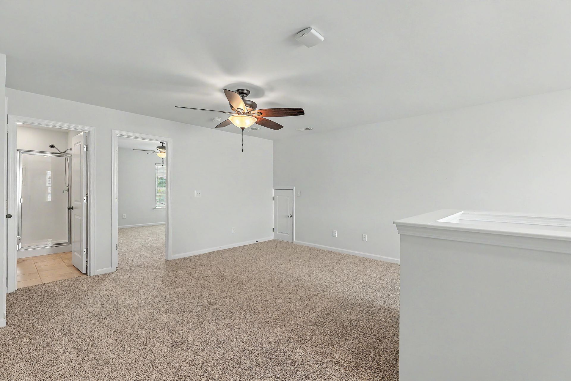 410 Spanish Wells Road Photo 43