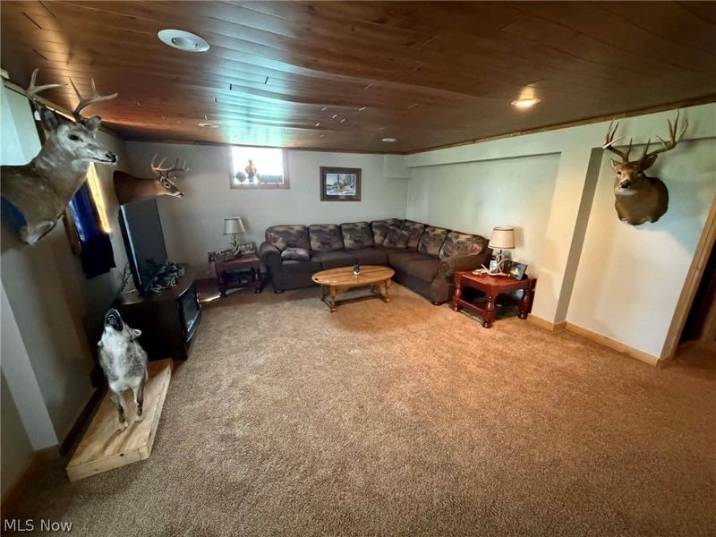 1158 Mick Road, Wellsville, OH 43968 Photo 18