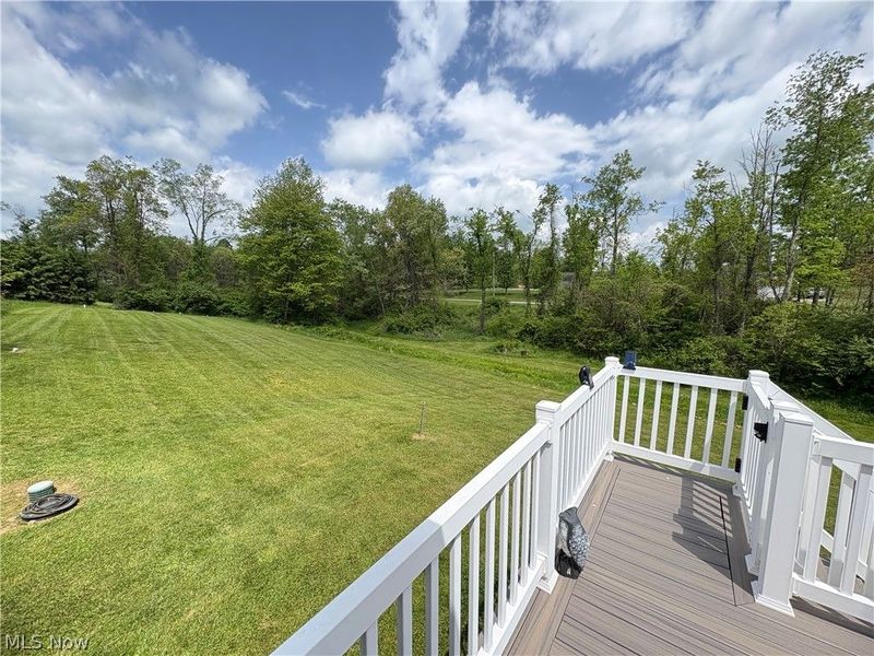 40900 Havenwood Drive, Belmont, OH 43718 Photo 36