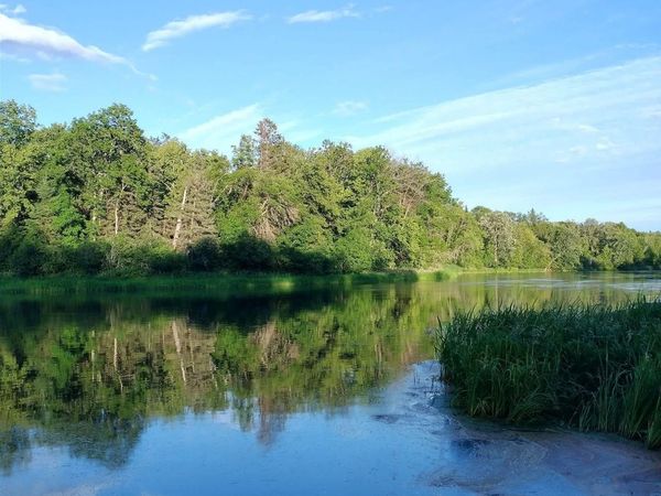 TBD County Rd 14 , Nimrod, MN 56478