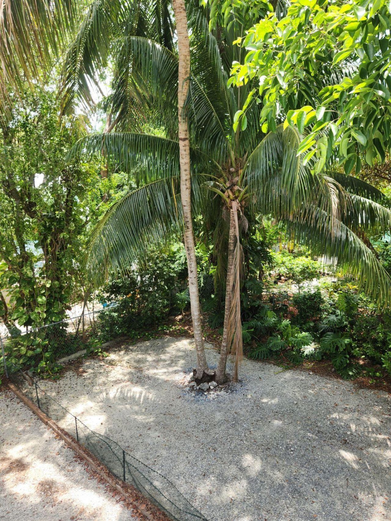 757 Musa Drive, Key Largo, FL 33037 Photo