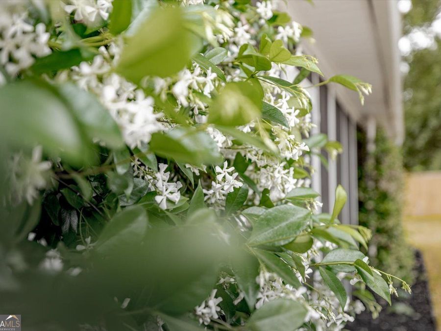 Property Image 64