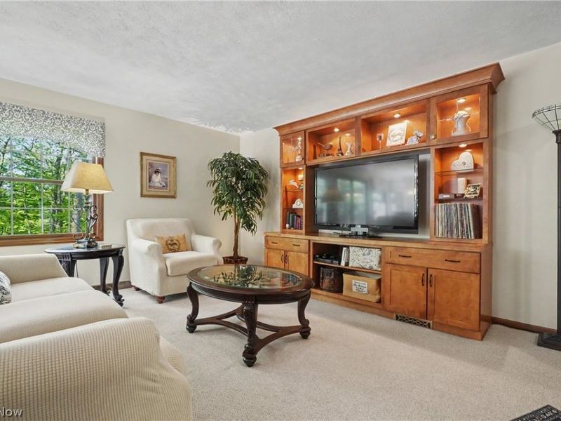 11003 Prouty, Concord Township, OH 44077 Photo 18