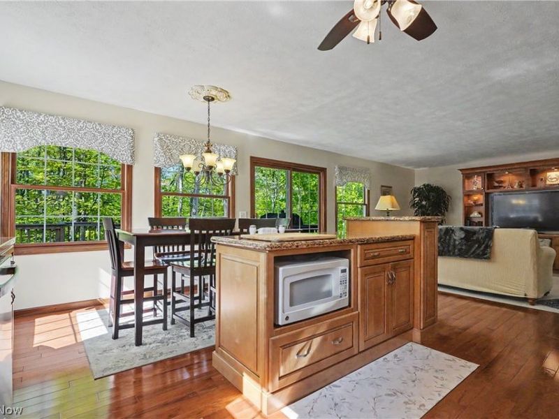 11003 Prouty, Concord Township, OH 44077 Photo 26