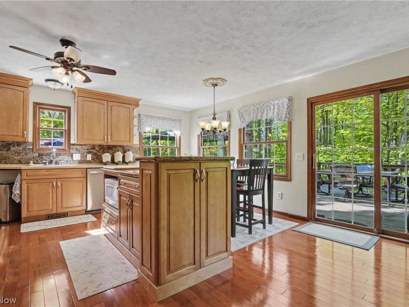 11003 Prouty, Concord Township, OH 44077 Photo 27