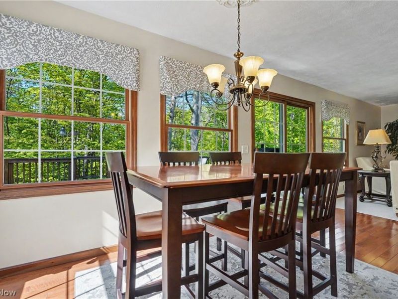 11003 Prouty, Concord Township, OH 44077 Photo 29