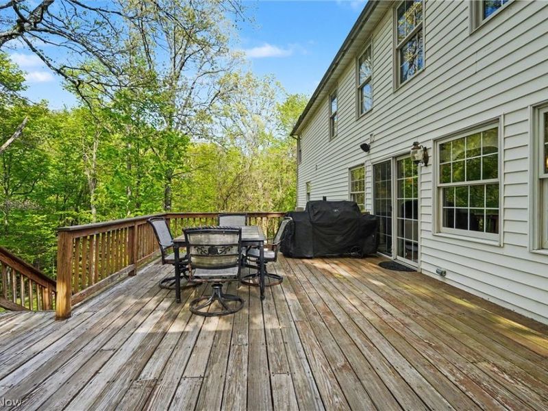 11003 Prouty, Concord Township, OH 44077 Photo 48