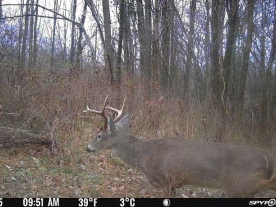 Property Image 9