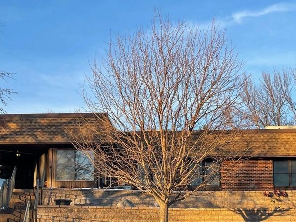909 Luther Place, Unit 117, Albert Lea, MN 56007
