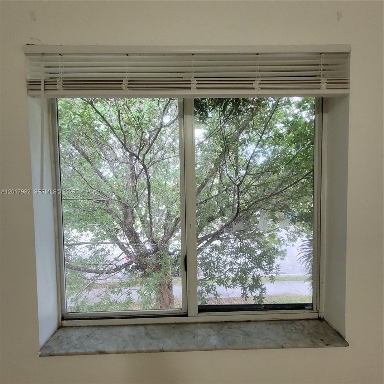 13950 NE 2nd Ave, Unit 1A, Miami, FL 33161 Photo