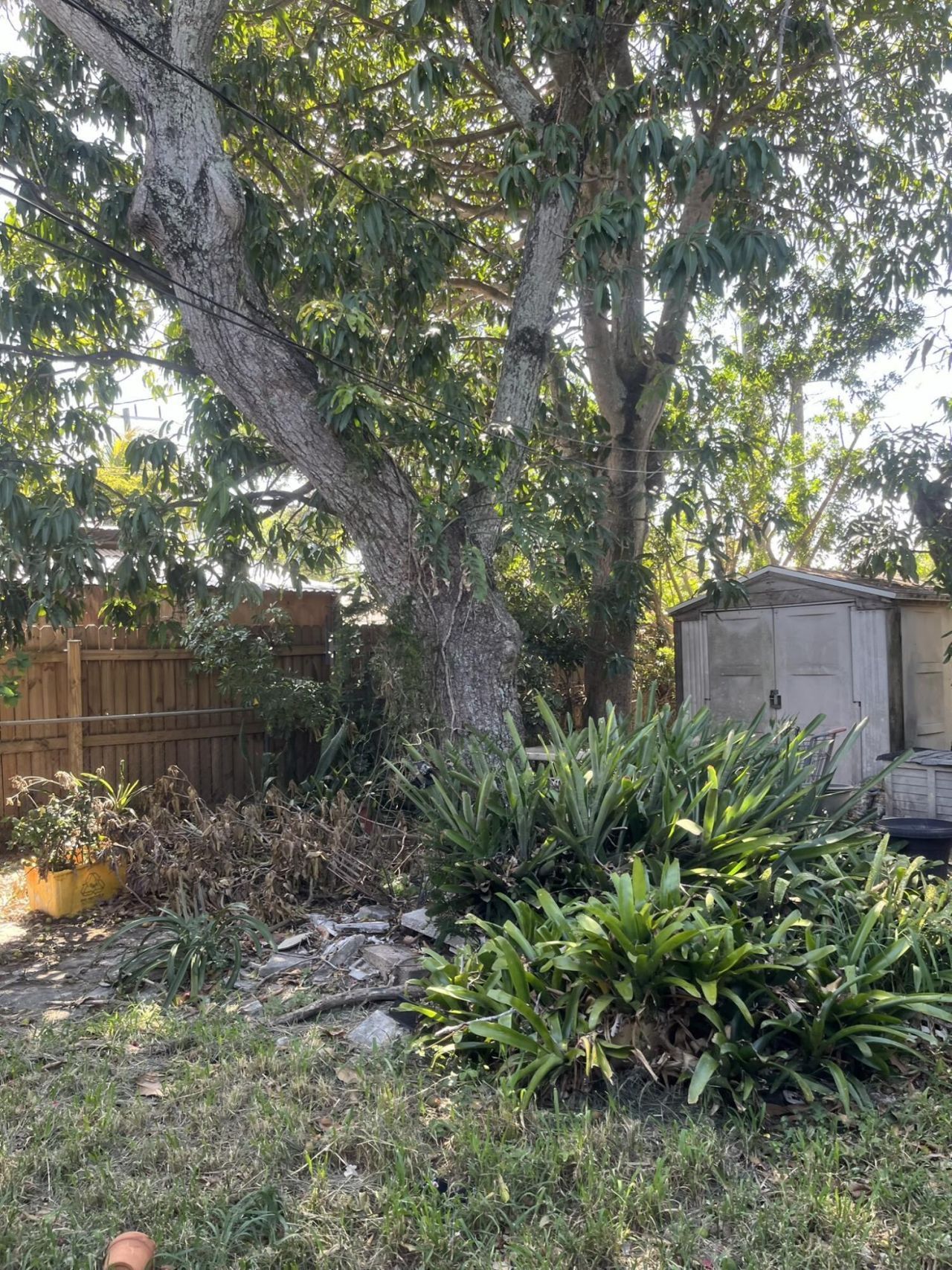901 S F Street, Lake Worth Beach, FL 33460 Photo