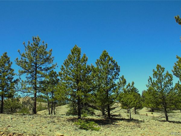 12451 Us-24 , Hartsel, CO 80449