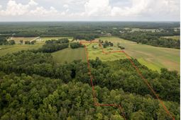 1175 Highway 9  photo 4