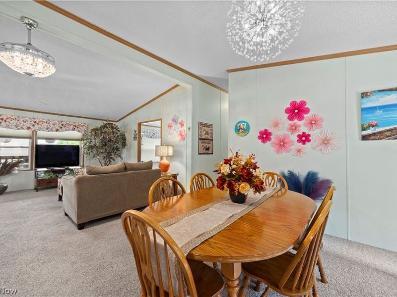 78 Periwinkle Drive, Olmsted Township, OH 44138 Photo 12