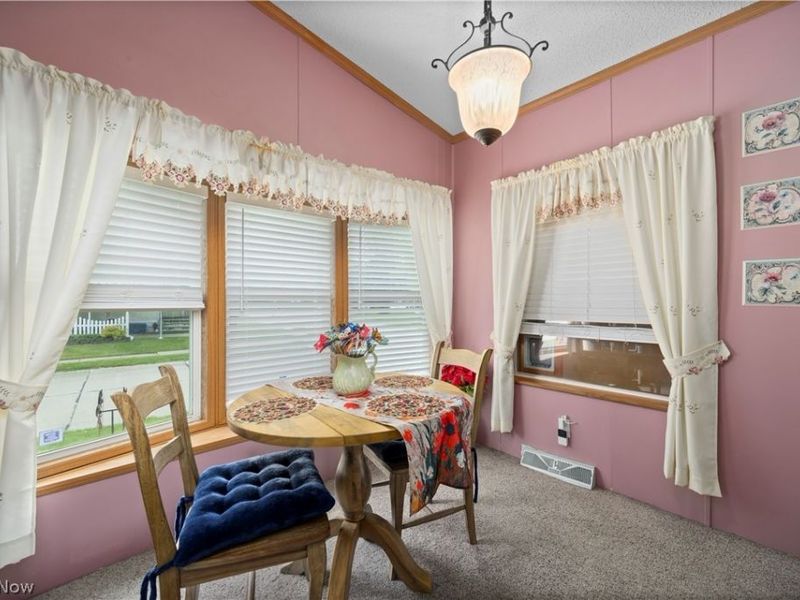 78 Periwinkle Drive, Olmsted Township, OH 44138 Photo 18
