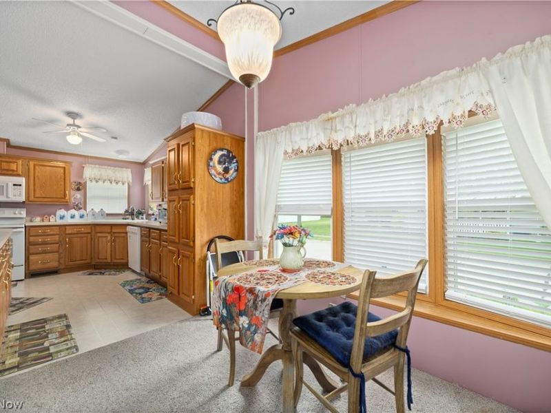 78 Periwinkle Drive, Olmsted Township, OH 44138 Photo 19