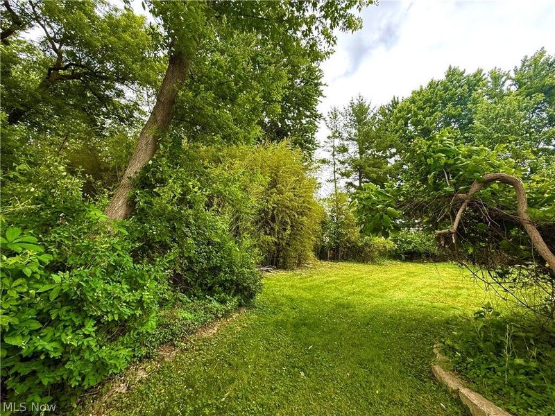 33852 Center Ridge Road, North Ridgeville, OH 44039 Photo 41