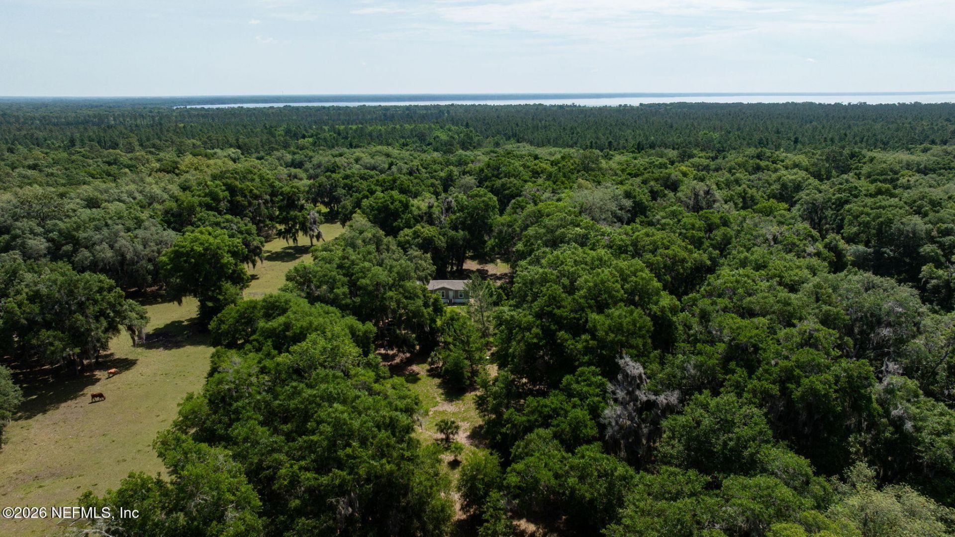 374 Sisco Road, Pomona Park, FL 32181 Photo