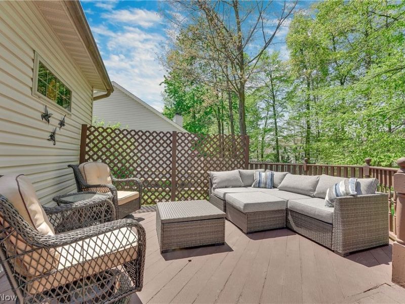 1173 Dover Drive, Medina, OH 44256 Photo 33