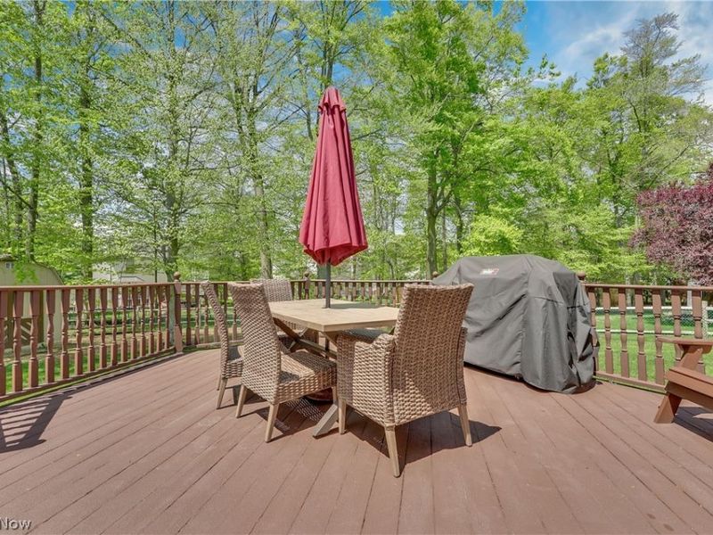 1173 Dover Drive, Medina, OH 44256 Photo 36