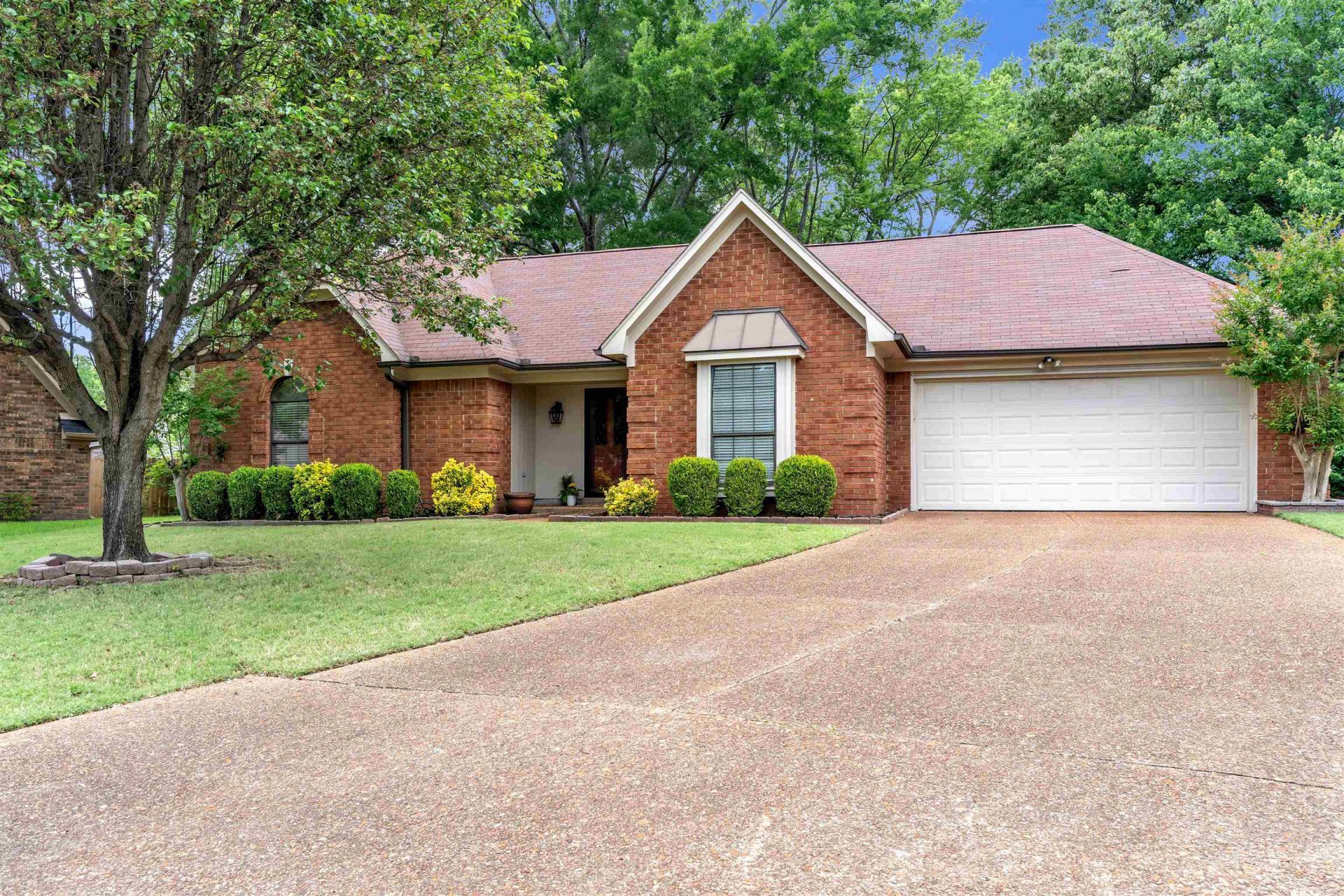 1387 Sand Creek Cv, Memphis, TN 38016 Main Photo