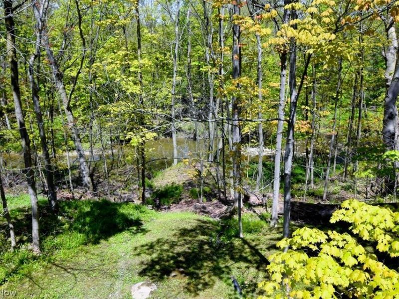 9 Pepper Creek Drive, Pepper Pike, OH 44124 Photo 48