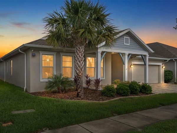 16691 VIBRATO LANE, LAND O LAKES, FL 34638