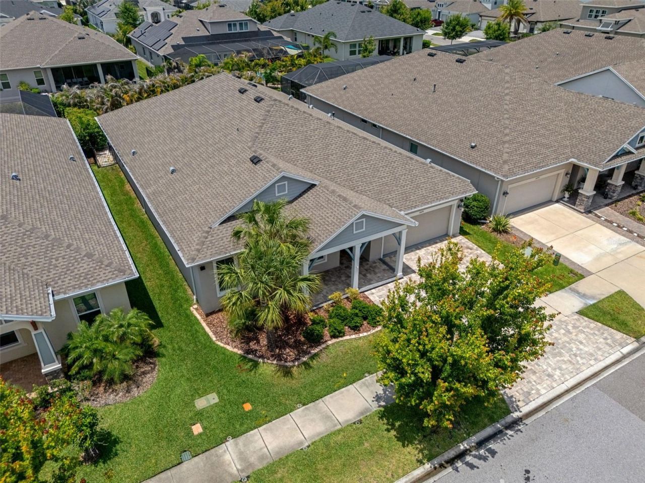 16691 Vibrato Lane, Land O Lakes, FL 34638 Photo