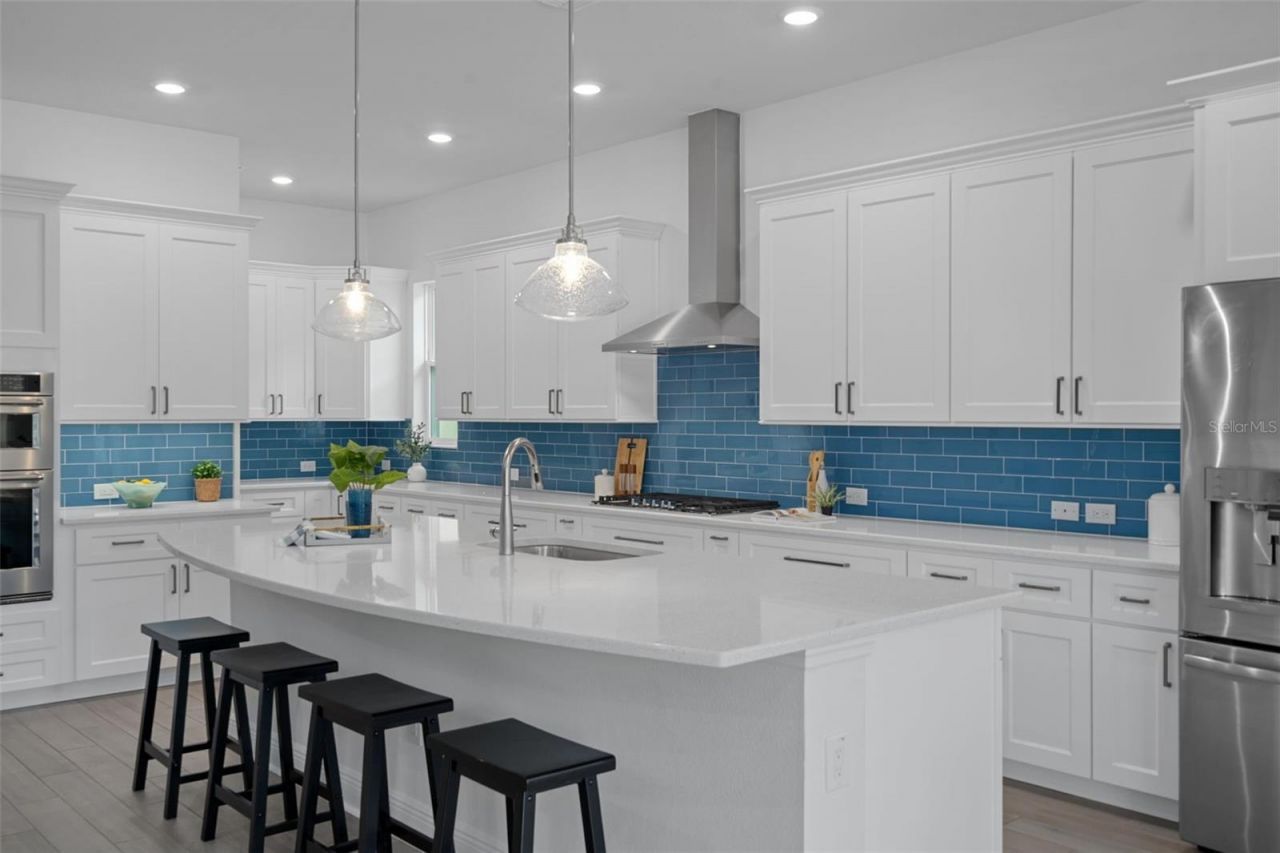 16691 Vibrato Lane, Land O Lakes, FL 34638 Photo