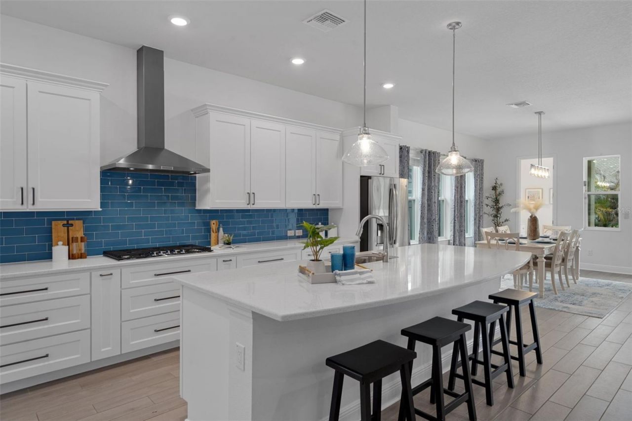 16691 Vibrato Lane, Land O Lakes, FL 34638 Photo