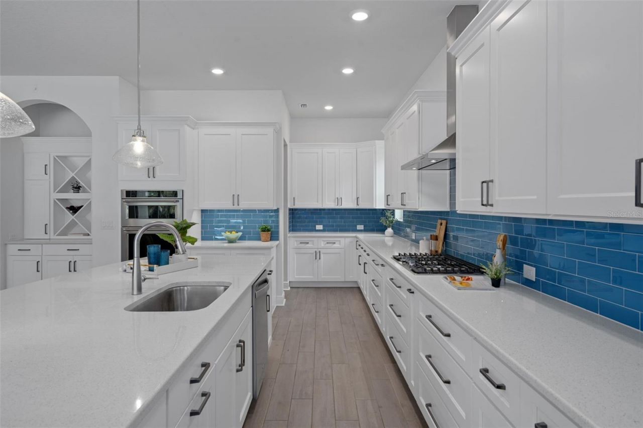 16691 Vibrato Lane, Land O Lakes, FL 34638 Photo
