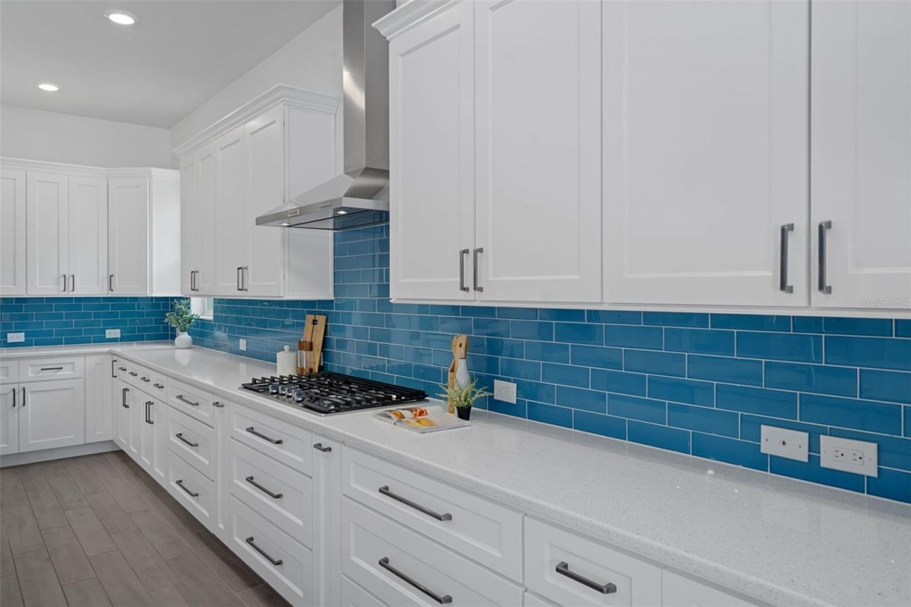 16691 Vibrato Lane, Land O Lakes, FL 34638 Photo