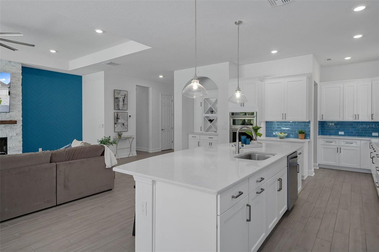 16691 Vibrato Lane, Land O Lakes, FL 34638 Photo