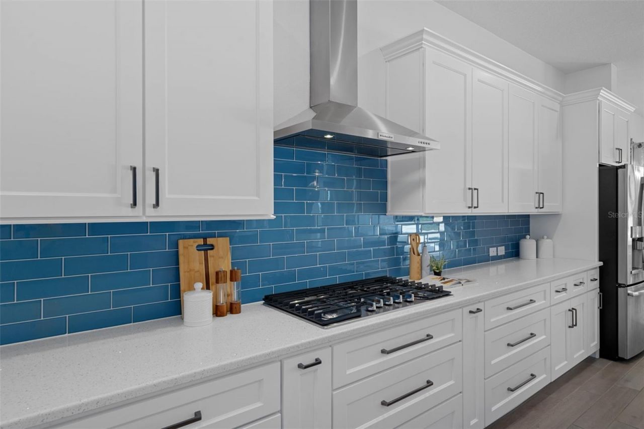 16691 Vibrato Lane, Land O Lakes, FL 34638 Photo