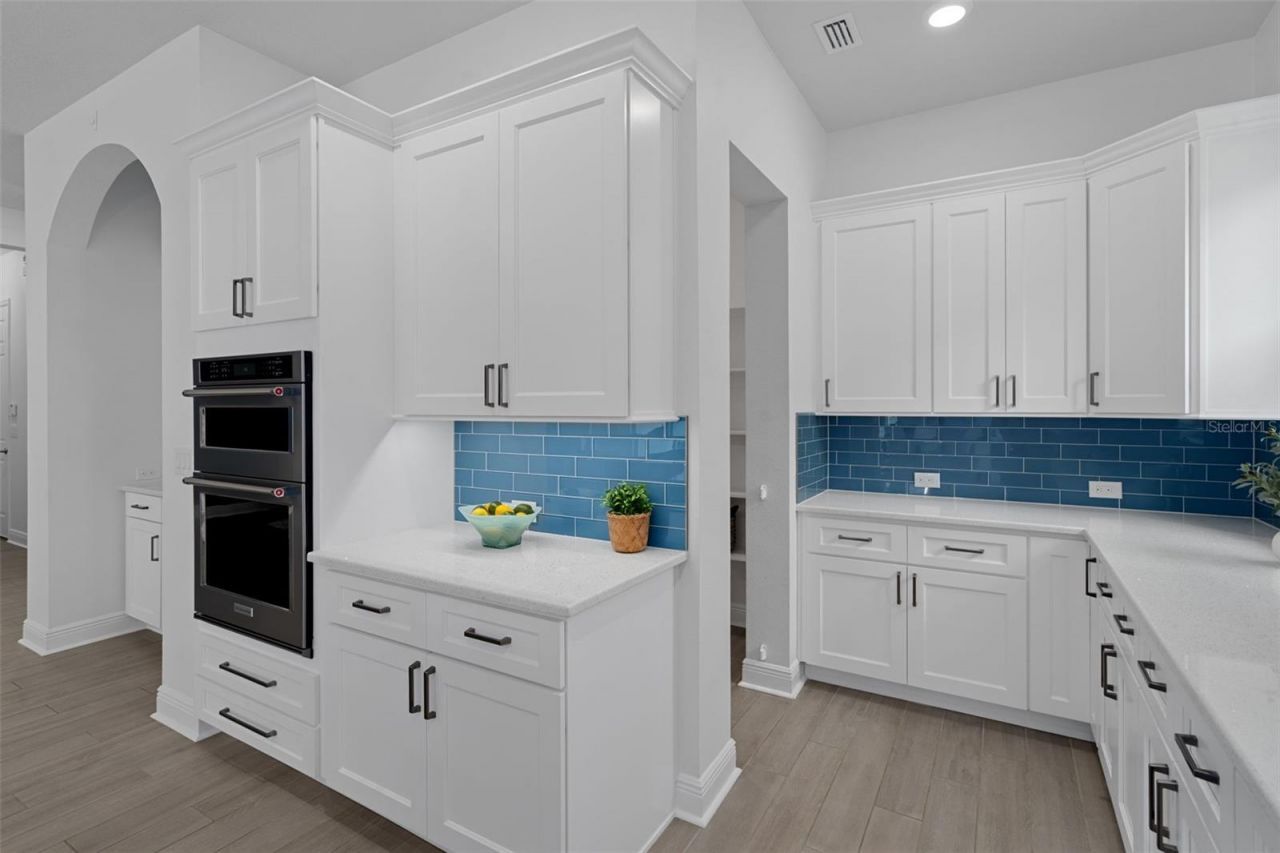16691 Vibrato Lane, Land O Lakes, FL 34638 Photo