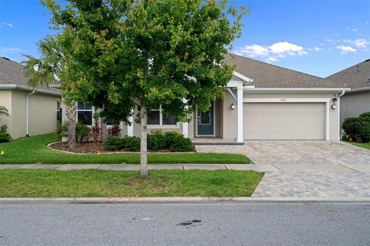 16691 Vibrato Lane, Land O Lakes, FL 34638 Photo