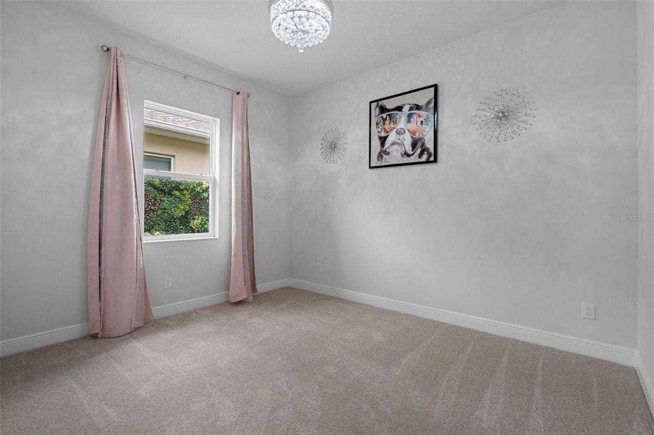 16691 Vibrato Lane, Land O Lakes, FL 34638 Photo