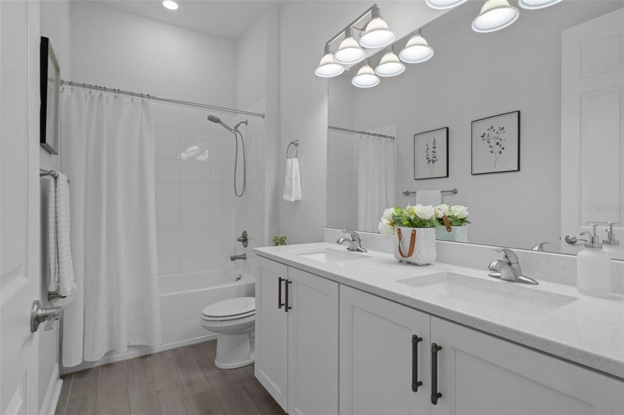 16691 Vibrato Lane, Land O Lakes, FL 34638 Photo
