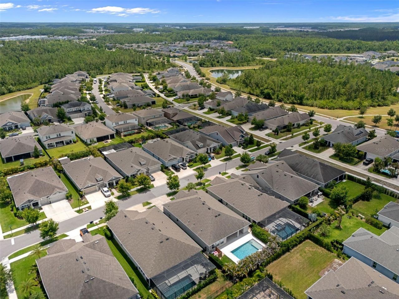 16691 Vibrato Lane, Land O Lakes, FL 34638 Photo