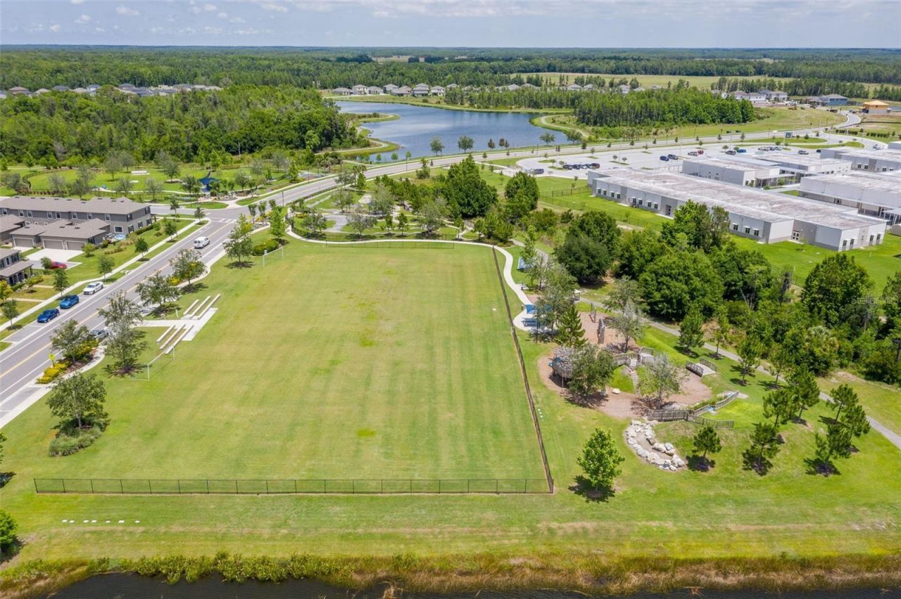 16691 Vibrato Lane, Land O Lakes, FL 34638 Photo