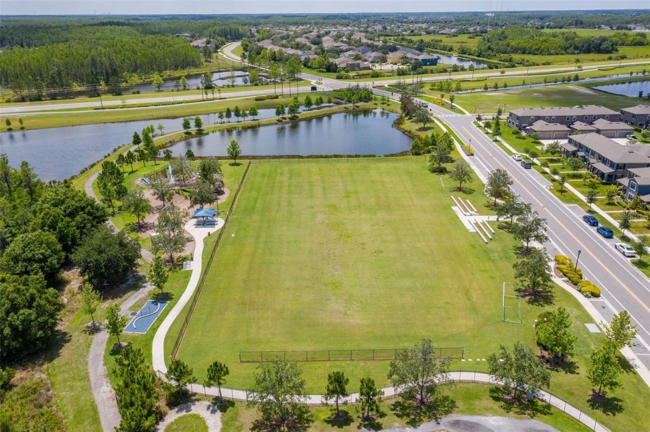 16691 Vibrato Lane, Land O Lakes, FL 34638 Photo
