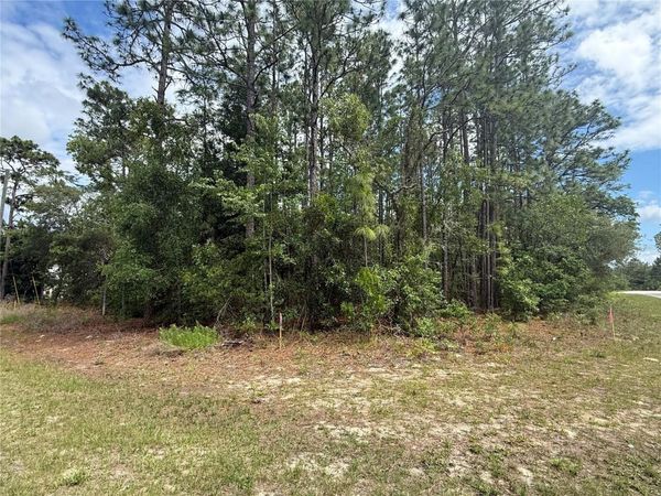 7103 N HEMMINGWAY DRIVE , DUNNELLON, FL 34434